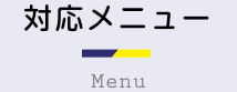 カーシャンティの対応メニューについて